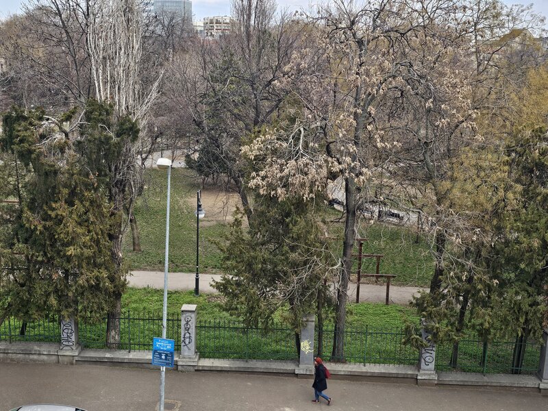 Cismigiu, Schitu Magureanu