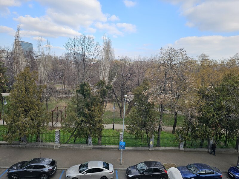 Cismigiu, Schitu Magureanu